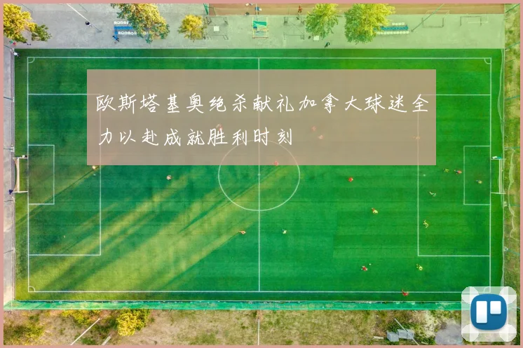 欧斯塔基奥绝杀献礼加拿大球迷全力以赴成就胜利时刻