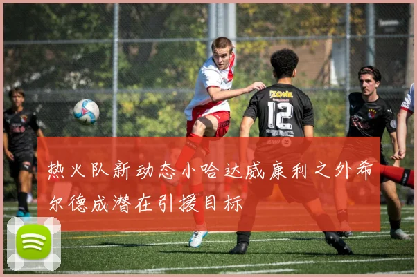 热火队新动态小哈达威康利之外希尔德成潜在引援目标